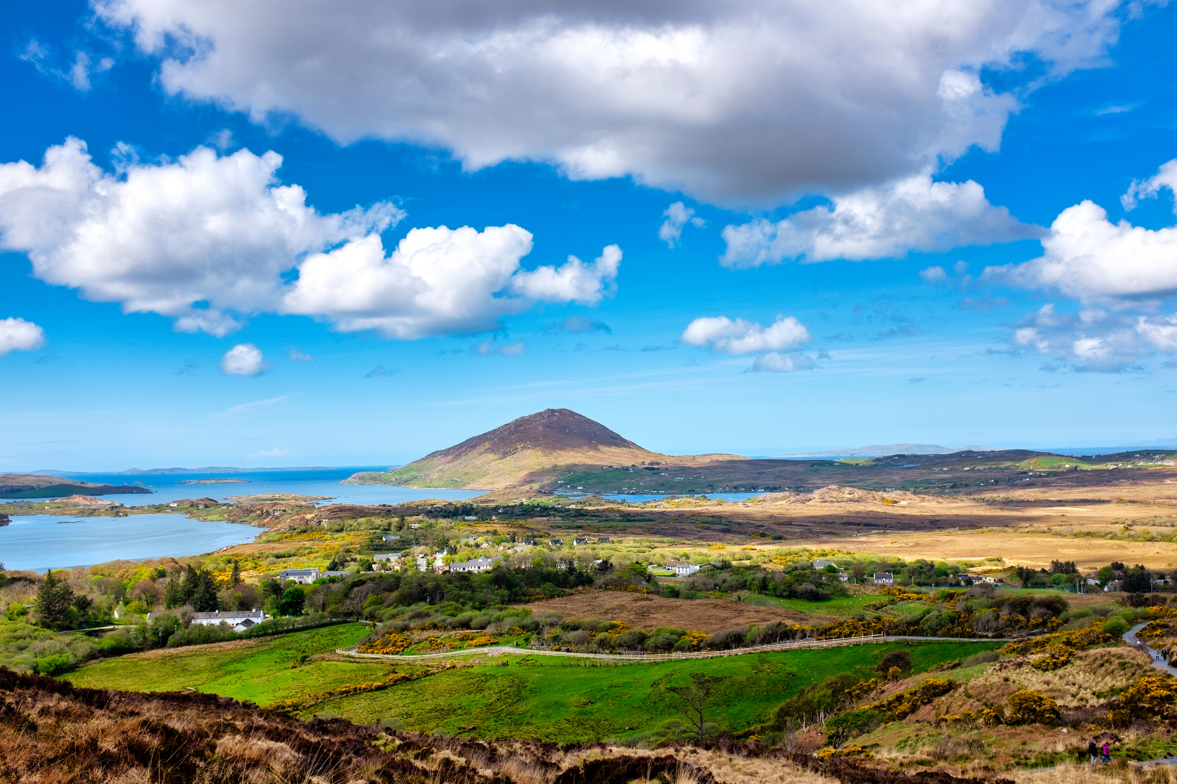connemara national park (2).webp